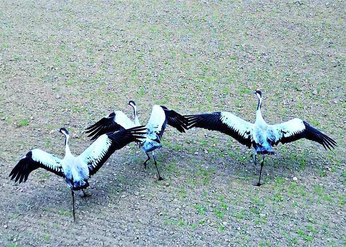 Apartment Second - 3 Pokoje, 5 Lozek, Netflix I Max, Parking, Winda Lubawa